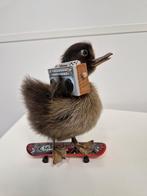 Skate duck, Ophalen of Verzenden
