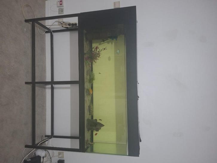 Aquarium 300l, Dieren en Toebehoren, Vissen | Aquaria en Toebehoren, Gebruikt, Leeg aquarium, Ophalen