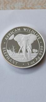 1 oz zilver somalia elephant 2025, Verzenden, Zilver