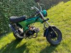 DAX Jincheng, Motoren, Motoren | Overige merken, Sportuitlaat, Particulier, 49 cc, 11 kW of minder