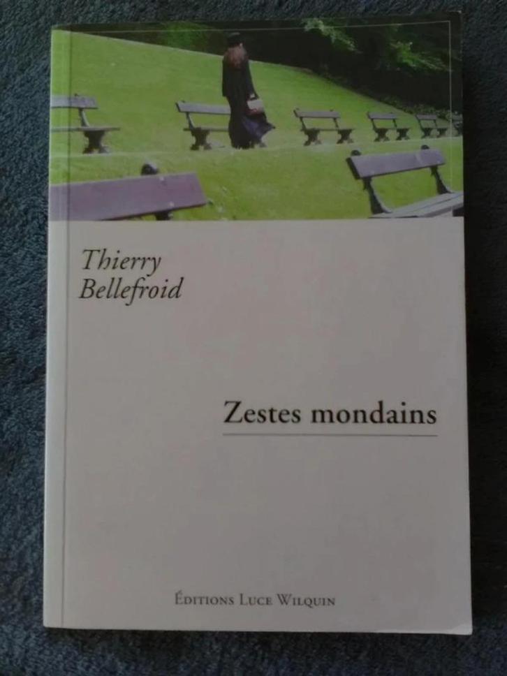 „Sociale zets” Thierry Bellefroid (2003), Boeken, Romans, Gelezen, België, Ophalen of Verzenden