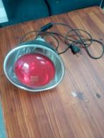 Lamp op kuikentjes uit te broeden, Enlèvement