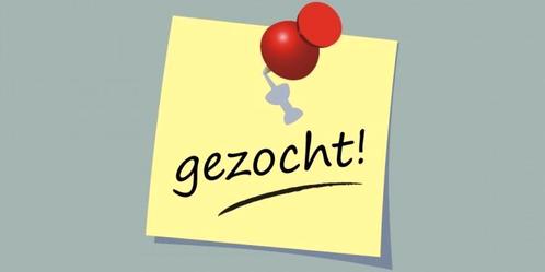 GEZOCHT: LESGEVER / LESGEEFSTER paardrijden, Dieren en Toebehoren, Pony's