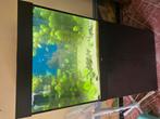 Juwel Lido 200 in nieuwstaat 1jaar oud, Ophalen, Zo goed als nieuw, Gevuld zoetwateraquarium