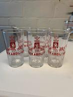 5x ena mater glas - bronnen der abdij van ename, Collections, Enlèvement, Comme neuf