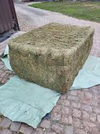 Voordroog hooi, Dieren en Toebehoren, Dierenvoeding, Ophalen