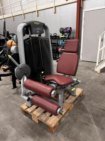 Technogym Selection Line Leg Curl beschikbaar voor biedingen