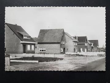 Postkaart Lommel Baelen Dijk beschikbaar voor biedingen