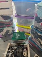 Gros lot de vêtements neuf, Vêtements | Femmes, Packs de vêtements pour femmes, Enlèvement, Comme neuf