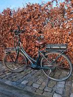 Elektrische damesfiets Oxford, Fietsen en Brommers, Gebruikt, 47 tot 50 cm, Versnellingen, Ophalen