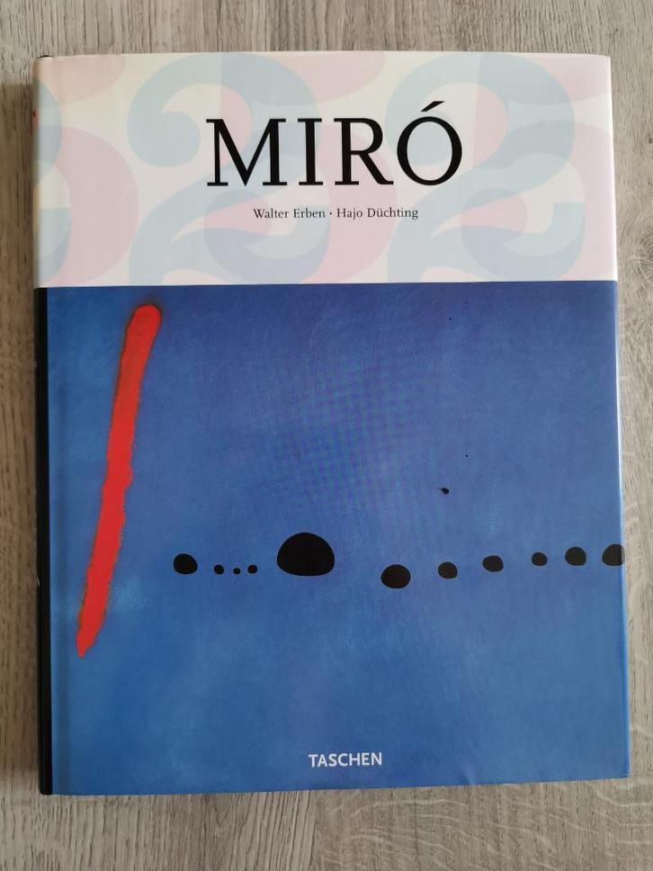 Miro, Boeken, Kunst en Cultuur | Beeldend, Zo goed als nieuw, Ophalen of Verzenden