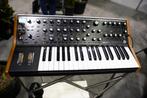 Moog sub 37, Muziek en Instrumenten, Ophalen, Nieuw, Overige merken, Met midi-aansluiting