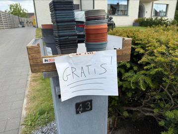 Gratis potjes voor plantjes  beschikbaar voor biedingen