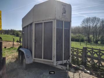 Vabo paardenaanhangwagen voor 2 paarden beschikbaar voor biedingen