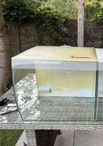 Fluval aquariums, Dieren en Toebehoren, Ophalen, Gebruikt, Leeg aquarium