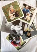 5 bidprentjes van mensen met hun hond, Verzenden, Bidprentje