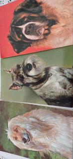 3 vintage postkaarten honden pakket 4, Verzamelen, Postkaarten | Dieren, Ophalen of Verzenden