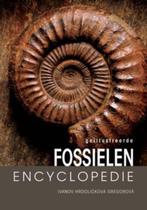 Geïllustreerde fossielen encyclopedie M. Ivanov e.a 311 blz., Livres, Encyclopédies, Animaux, Enlèvement ou Envoi