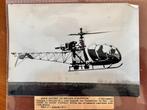 Nr. 4 6 - Persfoto 1955 - Alouette, Ophalen of Verzenden, Foto