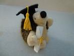 egeltje " graduate ", Ophalen of Verzenden, Nieuw, Overige typen