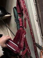 Halster, Dieren en Toebehoren, Ophalen, Zo goed als nieuw