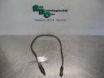 Lambda Sonde van een BMW 3-Serie (3-Serie 98-), Gebruikt, -, -, Ophalen of Verzenden