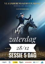 2 tickets voor de Jumping Mechelen 28/12, Tickets en Kaartjes