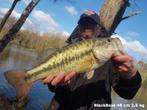 ✅ Club de pêche - 2 Etangs privés & naturels. 🐟diversifiés, Ophalen, Nieuw, Overige typen