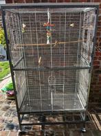 Voiliere, grote vogelkooi, Dieren en Toebehoren, Ophalen, Gebruikt, Metaal, Vogelkooi