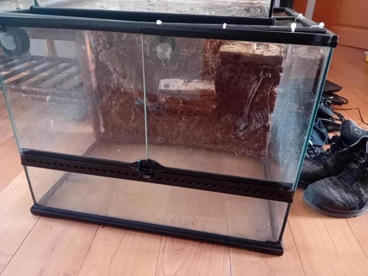 Terrarium's te koop (5), Dieren en Toebehoren, Reptielen en Amfibieën | Toebehoren, Gebruikt, Overige typen, Ophalen