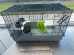 Hamsterkooi + benodigdheden, Dieren en Toebehoren, Knaagdieren en Konijnen | Hokken en Kooien, Kooi, 110 cm of meer, Zo goed als nieuw