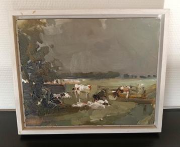 Young cows van Roos Schuring  beschikbaar voor biedingen