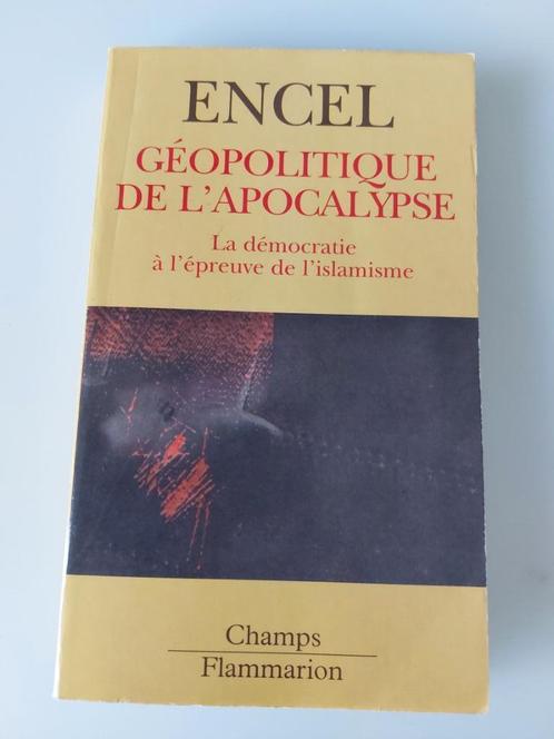Geopolitiek van de Apocalyps, Engel, Boeken, Politiek en Maatschappij, Gelezen, Ophalen of Verzenden