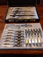 Messenset Solingen in diplomatenkoffer, Ophalen of Verzenden, Nieuw, Bestekset