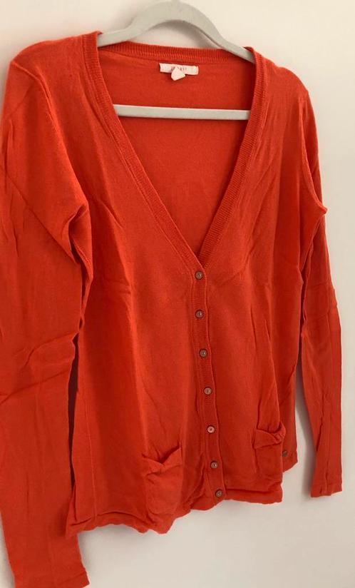 jolie veste à fermeture boutonnée Esprit S small, Vêtements | Femmes, Pulls & Gilets, Porté, Taille 36 (S), Orange, Enlèvement ou Envoi