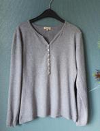 Pull Blouse gris femme hiver, Vêtements | Femmes, Blouses & Tuniques, Enlèvement ou Envoi, Porté, Taille 42/44 (L), Gris