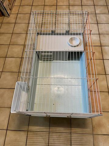 Cabane pour lapins, cobayes et poussins avec porte d'entrée, Enlèvement, Comme neuf, Cobaye