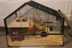 hamster- of muizenkooi, Dieren en Toebehoren, Knaagdieren en Konijnen | Hokken en Kooien, Ophalen, Zo goed als nieuw, Minder dan 75 cm