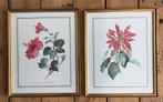 2 prenten / bloemen, Ophalen, Zo goed als nieuw