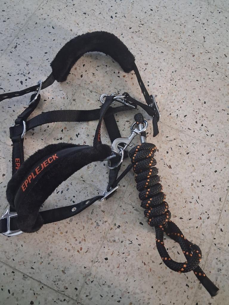 Halster set, Dieren en Toebehoren, Ophalen of Verzenden, Nieuw, Overige soorten