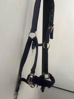 Halster paard, Dieren en Toebehoren, Ophalen of Verzenden, Zo goed als nieuw