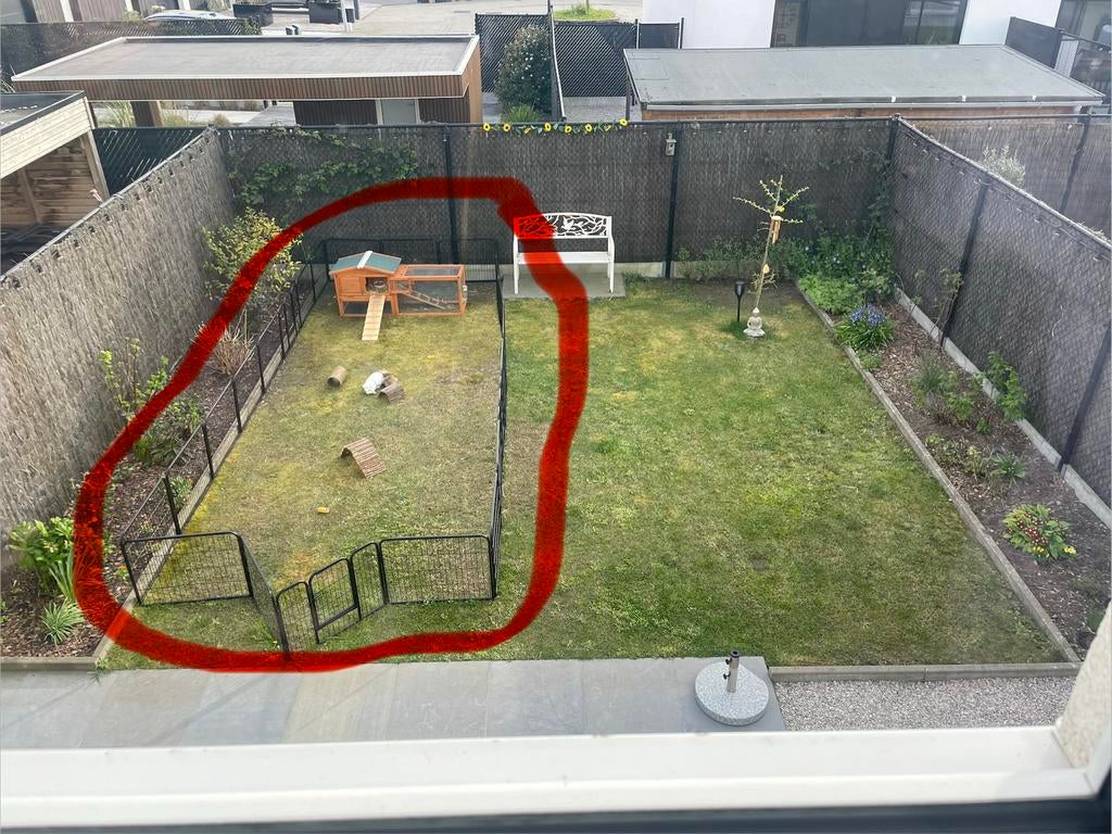 Clapier pour lapins, cobayes + clôture + animaux + accessoir, Enlèvement, Comme neuf, Niche, Cobaye