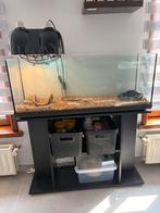 Terrarium Tortue, Enlèvement, Comme neuf