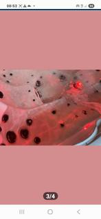 Jacuzzi d'occasion, livré gratuitement, installé et garanti