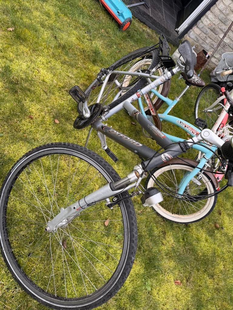 Damesfiets oxfotd, Ophalen