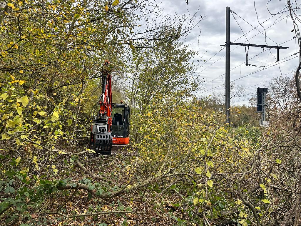 Alg. tuin , groen en grondwerk.