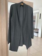 Lange giet, Kleding | Dames, Ophalen of Verzenden, Gedragen, Maat 38/40 (M), Grijs