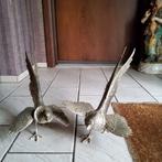 2 vechtende hanen, Antiek en Kunst, Antiek | Woonaccessoires, Ophalen