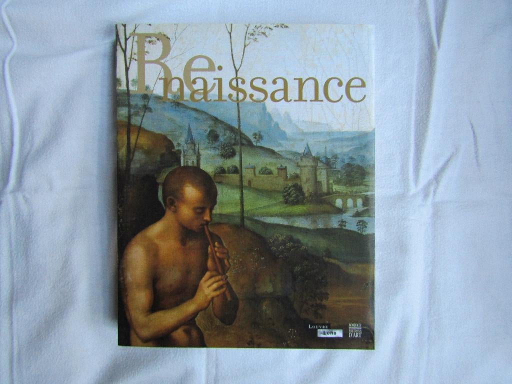 Sublime livre : "Renaissance", Boeken, Kunst en Cultuur | Beeldend, Nieuw, Schilder- en Tekenkunst, Ophalen of Verzenden