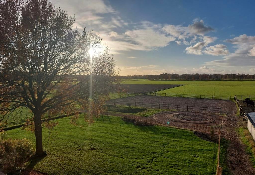 Stal vrij op privéstal,direct aan ruiterpad (Unieke locatie), Pâturage, 1 cheval ou poney